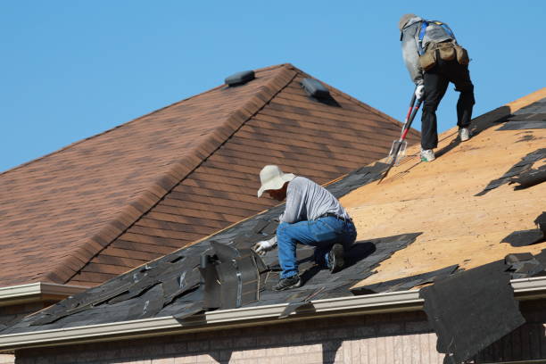 Best Gutter Installation and Repair  in South Barre, VT