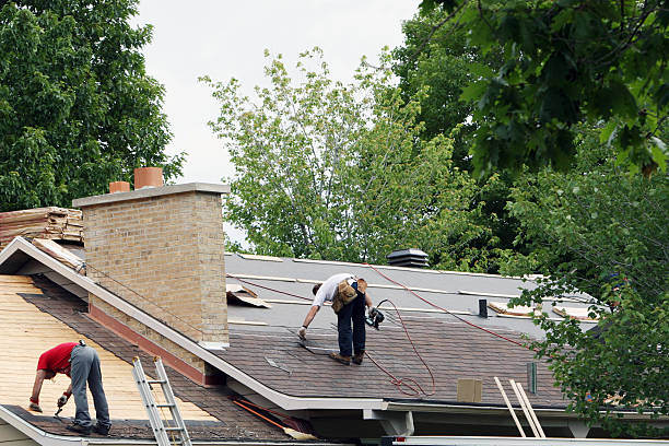 Best Roof Insulation Installation  in South Barre, VT